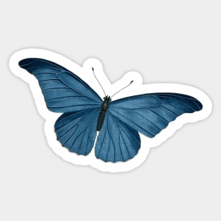 Gorgeous Vintage Bright Blue Butterfly Design Sticker